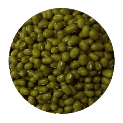 Greem Gram / Mung Seeds 250g